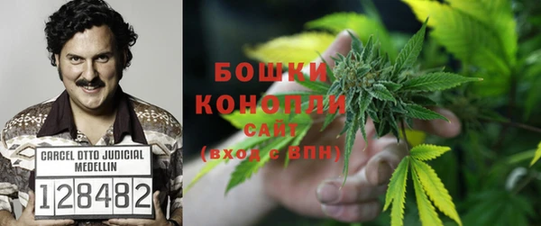 гашик Козловка