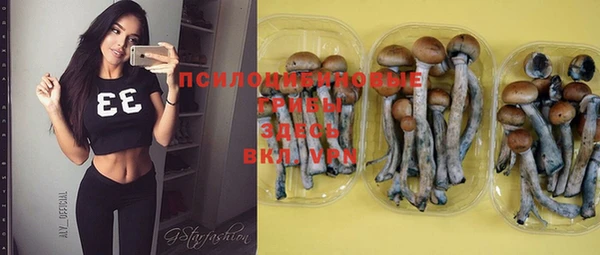 гидропоника Семилуки