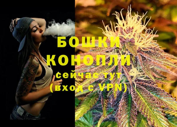стафф Семёнов