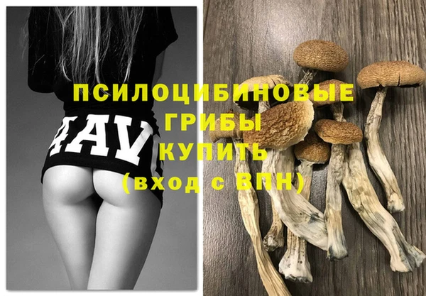 гидропоника Семилуки